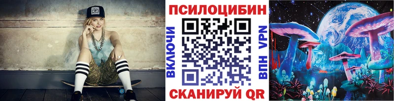 blacksprut ТОР  Краснообск  Псилоцибиновые грибы Psilocybe 